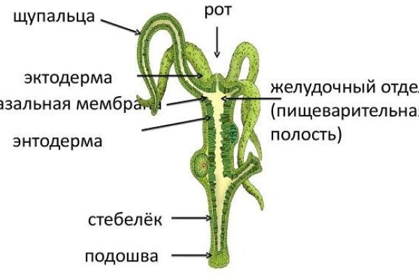 Адрес omg в тор